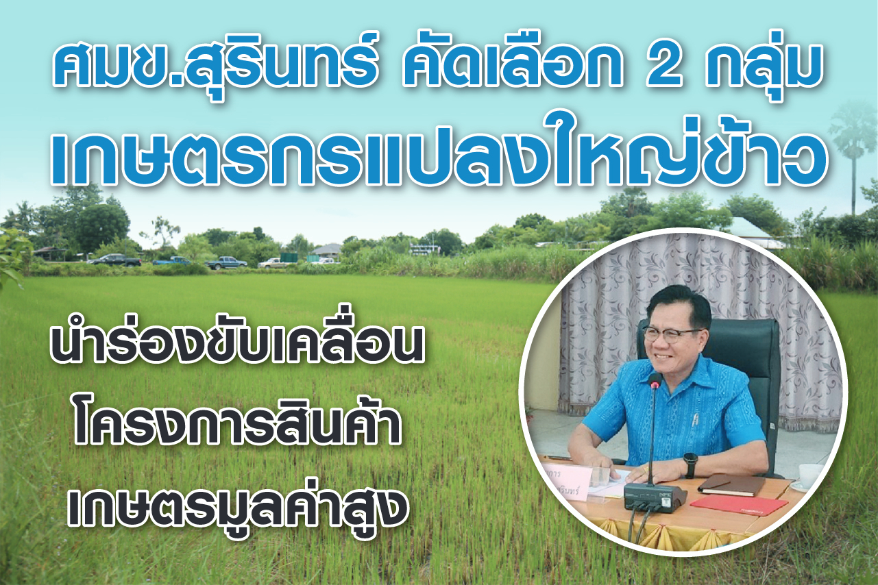 ศมข.สุรินทร์ คัดเลือก 2 กลุ่มเกษตรกรแปลงใหญ่ข้าว นำร่องขับเคลื่อนโครงการสินค้าเกษตรมูลค่าสูง