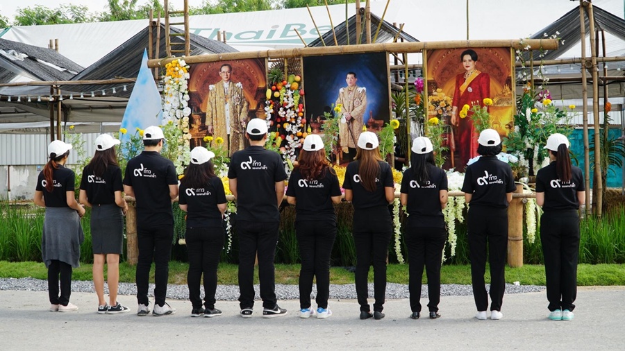 ไทยประกันชีวิตนำจิตอาสาปลูกดอกดาวเรือง น้อมรำลึกในพระมหากรุณาธิคุณและแสดงพลังแห่งความจงรักภักดีแด่ในหลวงรัชกาลที่ 9 