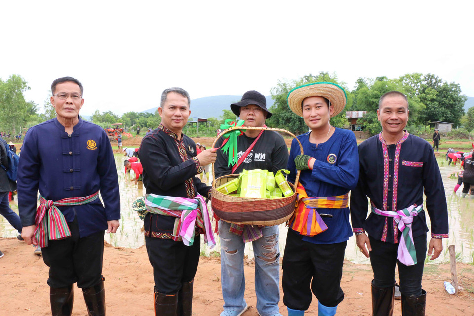 กาฬสินธุ์คืนชีวิตข้าวเหนียวเขาวง GI เกษตรมูลค่าสูงอร่อยที่สุดในโลก