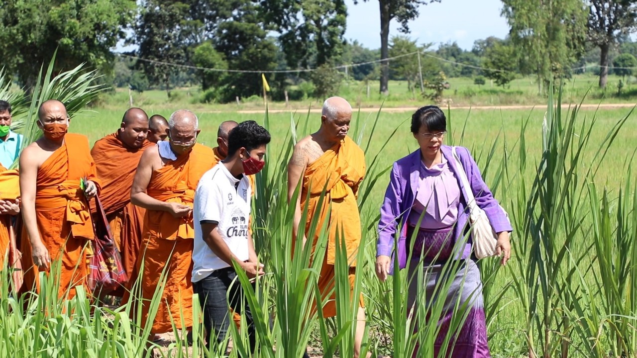 หลวงพ่อแดง ประธานมูลนิธิวัดอินทาราม จัดตั้งวิสาหกิจชุมชนธนาคารวัว ธนาคารน้ำใต้ดิน พลิกฟื้นชีวิตแนววิถีเกษตรพอเพียงตามรอยศาสตร์พระราชา ในพื้นที่จ.สุรินทร์