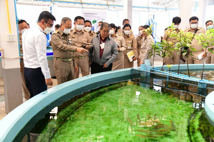 องคมนตรีเยี่ยมชมผลสัมฤทธิ์ฟาร์มทะเลตัวอย่างในสมเด็จพระนางเจ้าสิริกิติ์ ฯ จ.เพชรบุรี