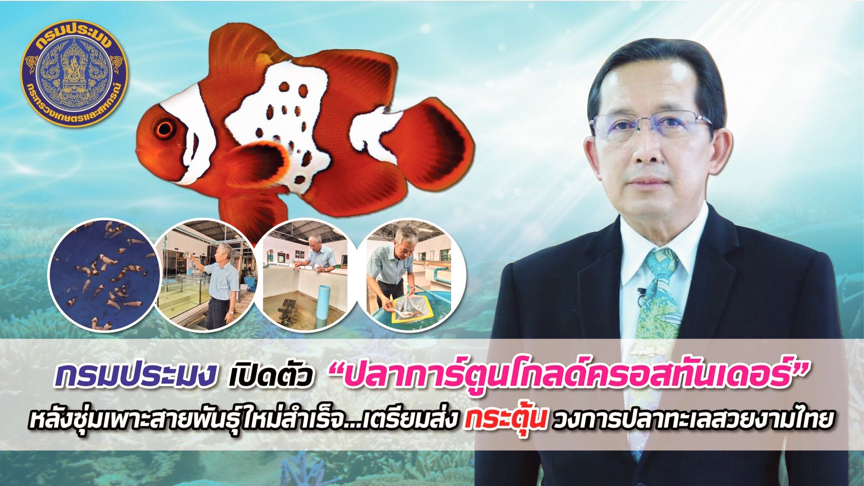 กรมประมงเปิดตัว “ปลาการ์ตูนโกลด์ครอสทันเดอร์” หลังซุ่มเพาะสายพันธุ์ใหม่สำเร็จ