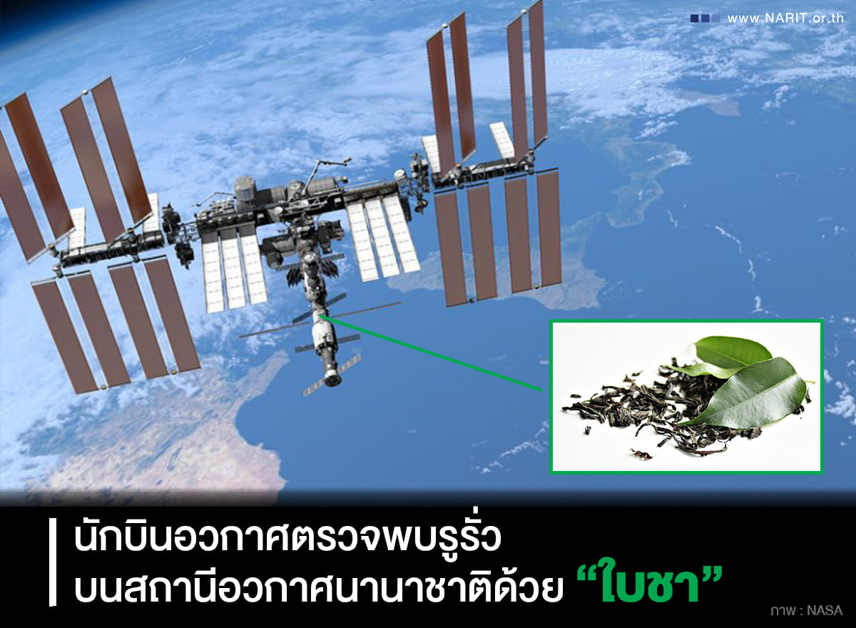 ฮีโร่ “ใบชา” ช่วยชีวิตนักบินอวกาศ