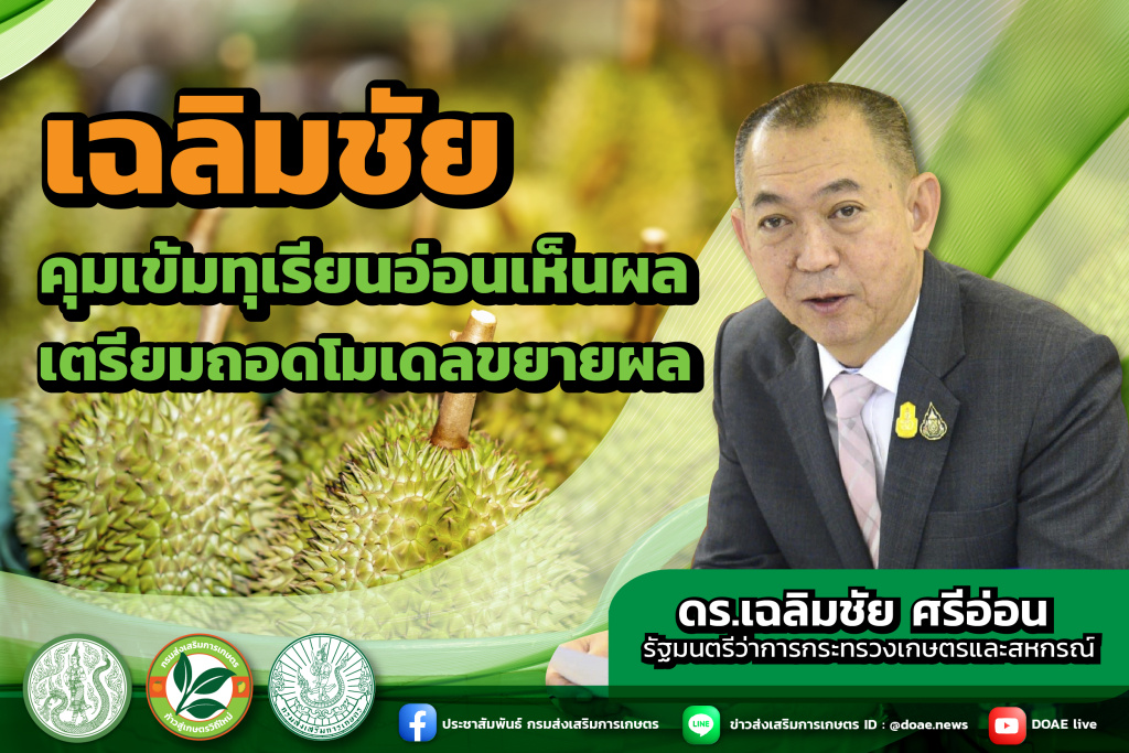 คุมเข้มทุเรียนอ่อนเห็นผลสำเร็จ! เตรียมถอดโมเดลขยายผล