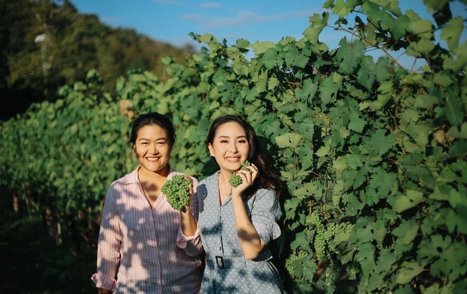 ไร่องุ่นไวน์กราน-มอนเต้ส่งความสุขรับปีใหม่กับงาน GranMonteSparkling Harvest Festival 2020 