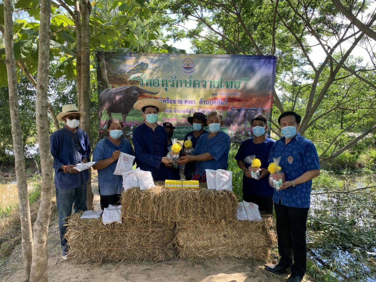 ปศุสัตว์ยโสธรส่งเสริมการอนุรักษ์ควายไทยแก่เกษตรกร  เนื่องจากมีแนวโน้มลดลง