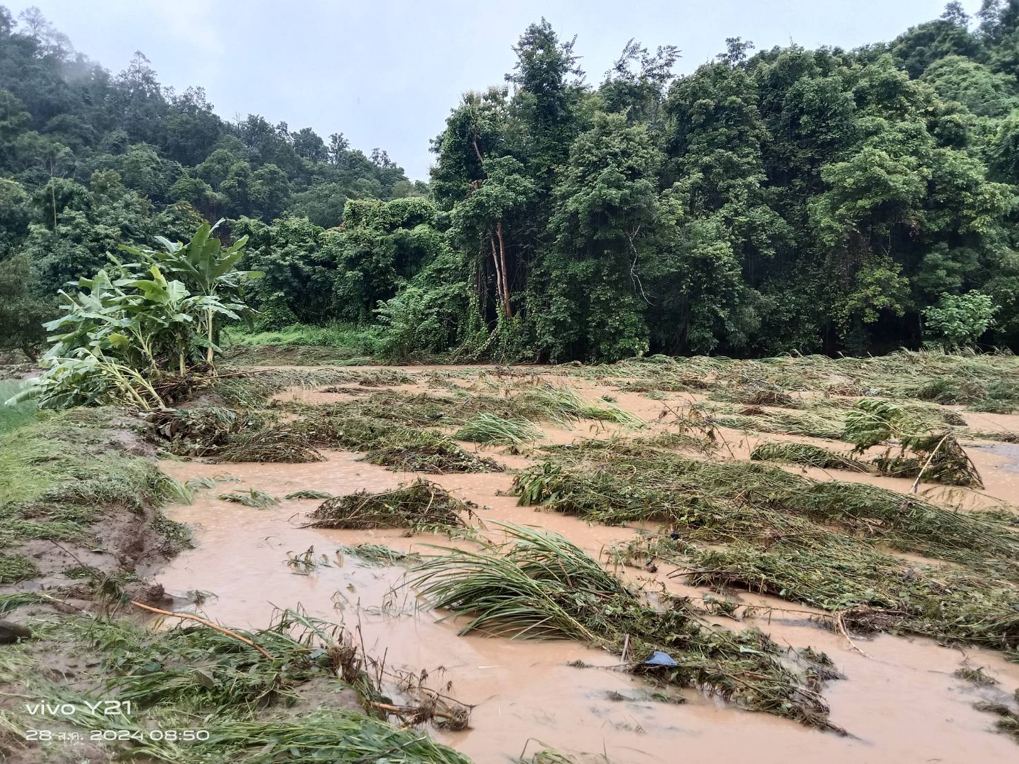 แม่ฮ่องสอนเจอน้ำป่าในลำน้ำสอยถล่มเหมืองฝายพังยับระบบประปาต้องหยุดดำเนินการ