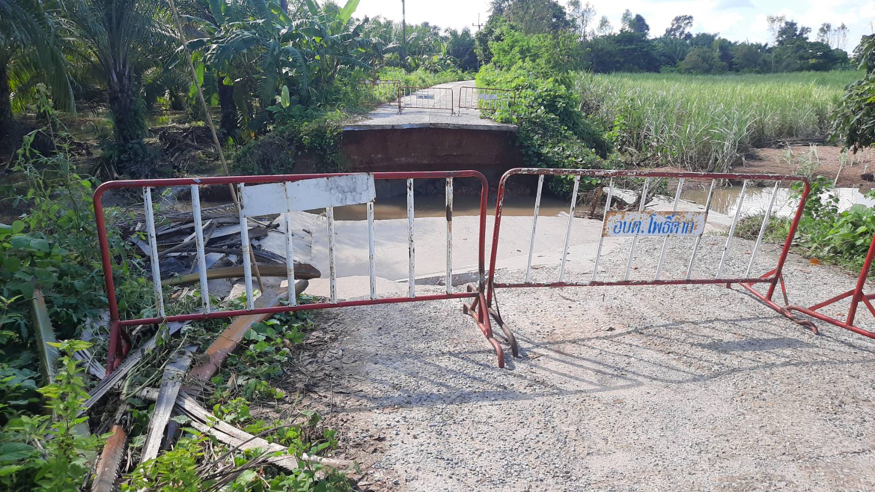 รองผู้ว่าฯหนองคาย ตรวจพื้นที่หลังฝนติดต่อหลายวัน น้ำป่าซัดถนนขาดเกิดซ้ำที่รอยเดิม