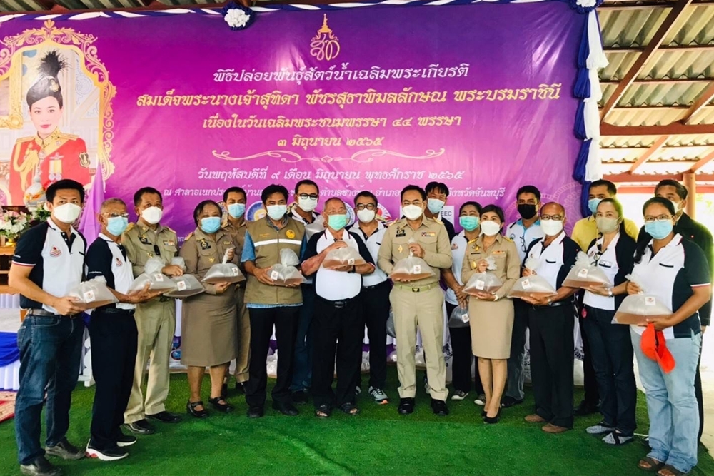 สมาคมกุ้งตะวันออกไทย จัดกิจกรรมปล่อยพันธุ์สัตว์น้ำเฉลิมพระเกียรติสมเด็จพระบรมราชินี