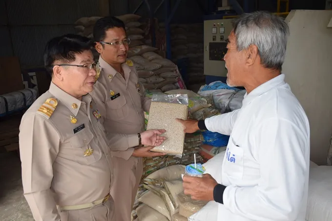 ผู้ตรวจฯ กรมส่งเสริมสหกรณ์ ลงพื้นที่ตรวจเยี่ยมแปลงใหญ่ข้าว สหกรณ์หนึ่งใจเดียวกัน จำกัด