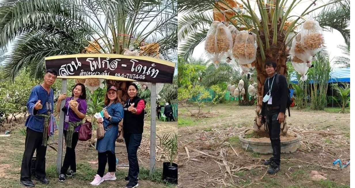  ประชาสัมพันธ์ยโสธรลุยส่งเสริมการท่องเที่ยวเชิงเกษตรเพื่อกระตุ้นเศรษฐกิจ  