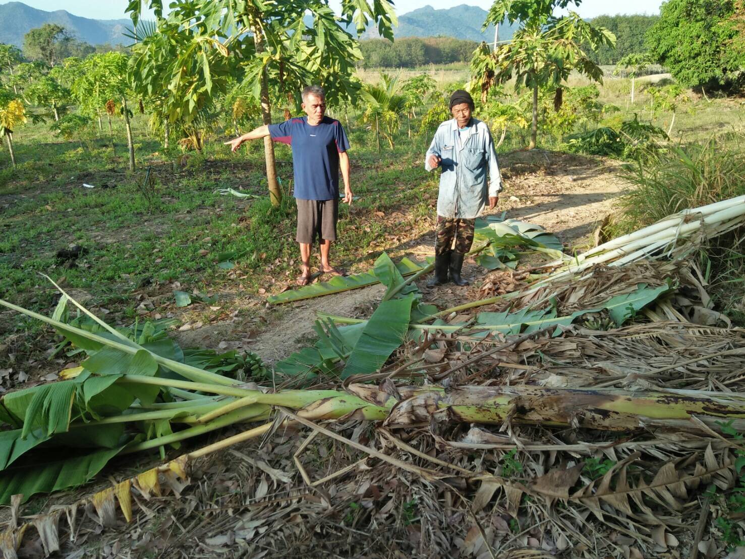 อดีต สส.เพื่อไทย ประจวบฯ จี้กรมอุทยานฯเยียวยาขาวบ้านถูกช้างป่ากุยบุรีกระทืบดับ