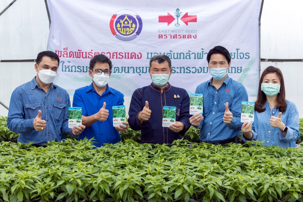 อีสท์ เวสท์ ซีด มอบต้นกล้าฟ้าทะลายโจร ให้กรมการพัฒนาชุมชน หนุนคนไทยกินผักสมุนไพรปลอดโควิด-19