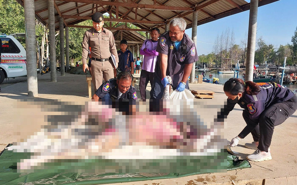 พบศพนักท่องเที่ยวแคนาดาลอยทะเลสามร้อยยอด หลังลงเล่นน้ำหัวหิน ถูกคลื่นลมแรงพัดจมหาย