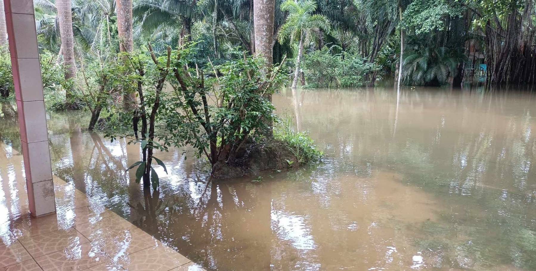ฝนที่ตกหนักส่งผลชาวบ้านอำเภอละงู   ร้องขอความช่วยเหลือสื่อ หลังประสบปัญหาน้ำท่วม  