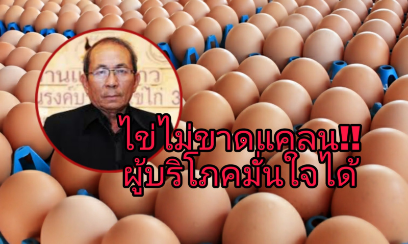 ไข่ไม่ขาดแคลน!! เกษตรกร วอนเข้าใจราคาไข่ขึ้นตามกลไกตลาด