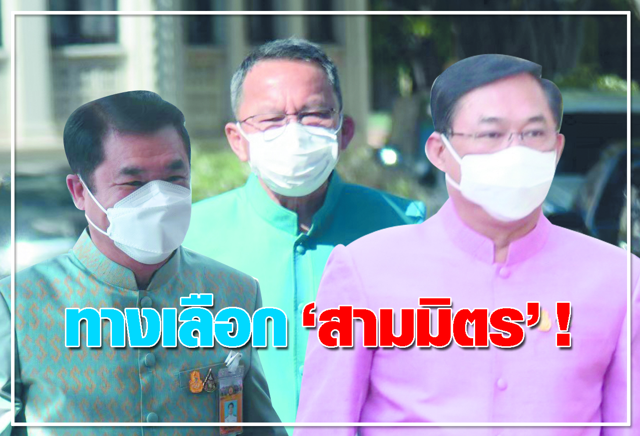   ทางเลือก สามมิตร !