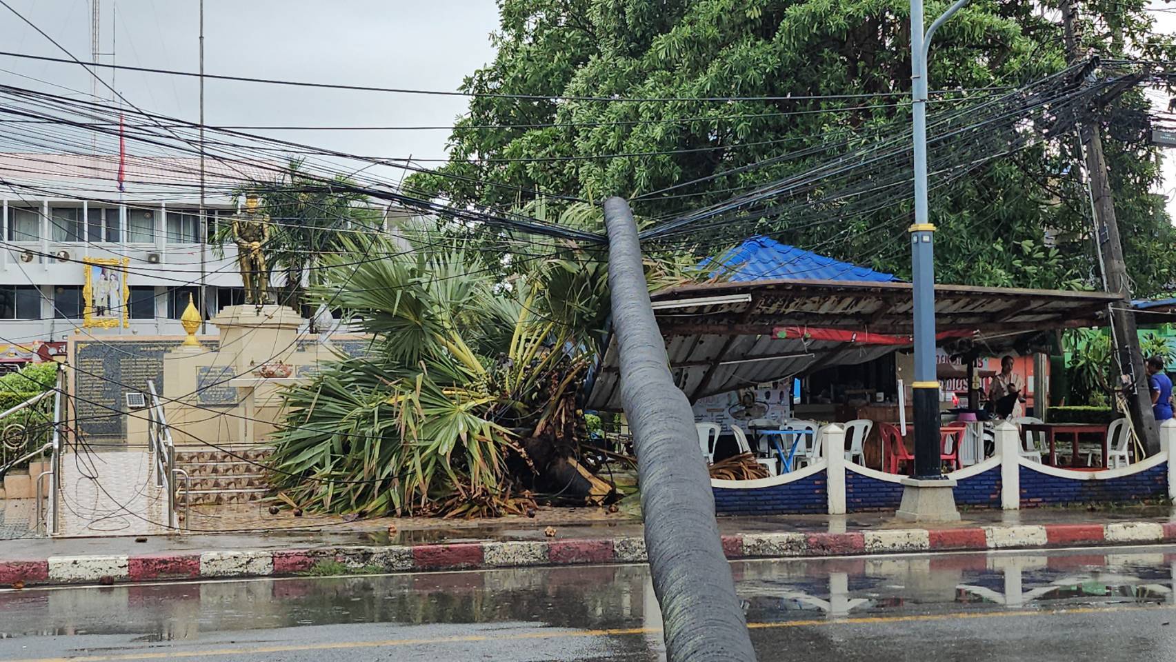 สัตหีบฝนตกลมแรงต้นตาลหักโค่นล้มพาดสายไฟและร้านค้าหน้าโรงพักพังเสียหายไฟดับนับชั่วโมงโชคดีไม่มีใครเจ็บ