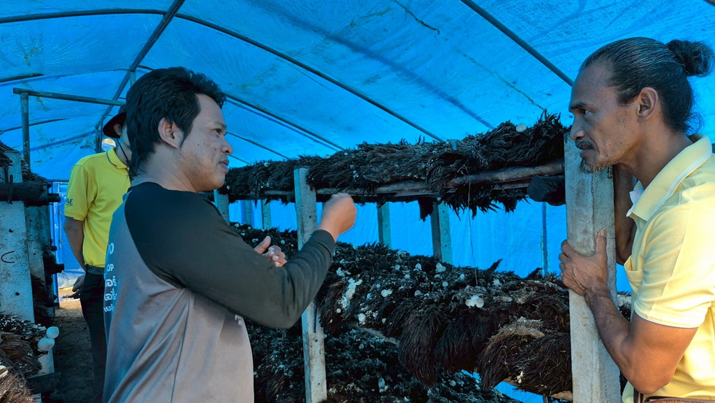 เกษตรกรหัวใจนักสู้! เปลี่ยนทลายปาล์มเหลือใช้ สู่เห็ดฟางคุณภาพ