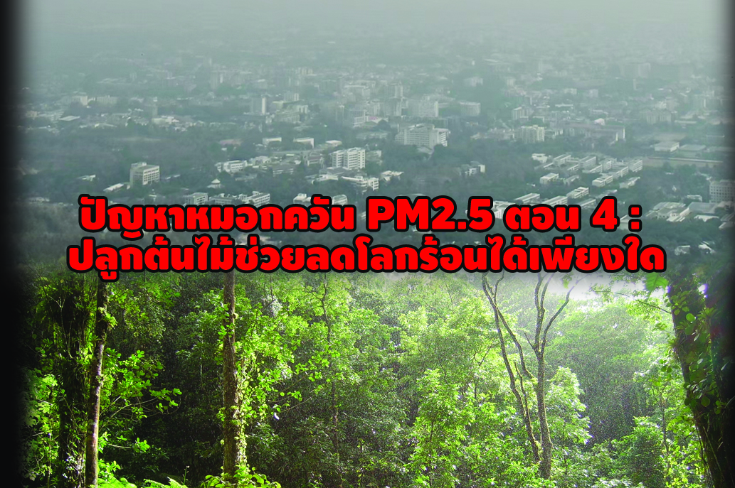 ปัญหาหมอกควัน PM2.5 ตอน 4 : ปลูกต้นไม้ช่วยลดโลกร้อนได้เพียงใด