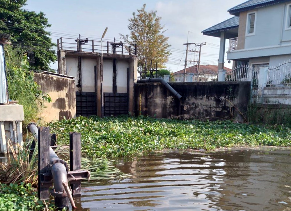 ชป.ปทุมธานี จัดเก็บวัชพืชคลองบางหลวงเชียงราก เพิ่มประสิทธิภาพการระบายน้ำ