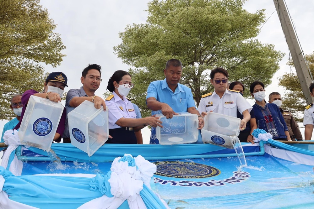 ประมงอ่างทอง ร่วมกับศูนย์ฯเพาะเลี้ยงสัตว์น้ำจืด ปล่อยพันธุ์ปลา เนื่องในวันประมงแห่งชาติ