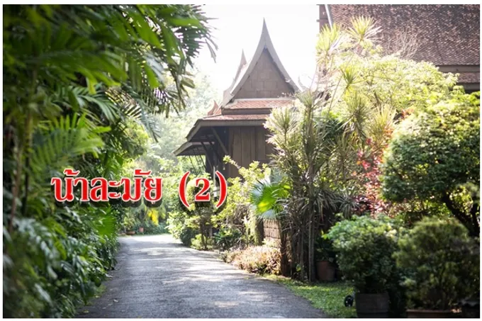 น้าละมัย (2)