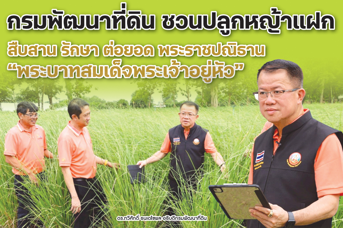 กรมพัฒนาที่ดินชวนปลูกหญ้าแฝก สืบสาน รักษา ต่อยอด|พระราชปณิธาน “พระบาทสมเด็จพระเจ้าอยู่หัว”