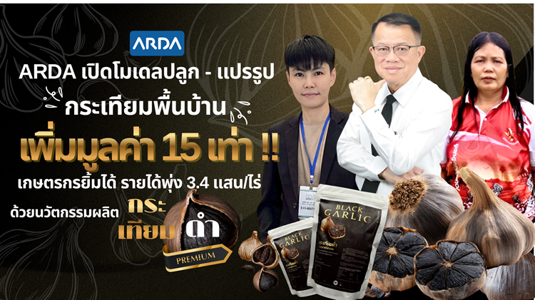  ARDA เปิดโมเดลปลูก - แปรรูป “กระเทียมพื้นบ้าน” เพิ่มมูลค่ากว่า 15 เท่า เกษตรกรยิ้มได้รายได้พุ่ง 3.4 แสนบาทต่อไร่ 