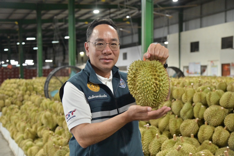 ทุเรียนใต้ทะลักตลาด! กรมการค้าภายในเร่งระบาย 3 แสนตัน ชูตลาดมรกตชุมพรเป็นจุดกระจายใหญ่ 