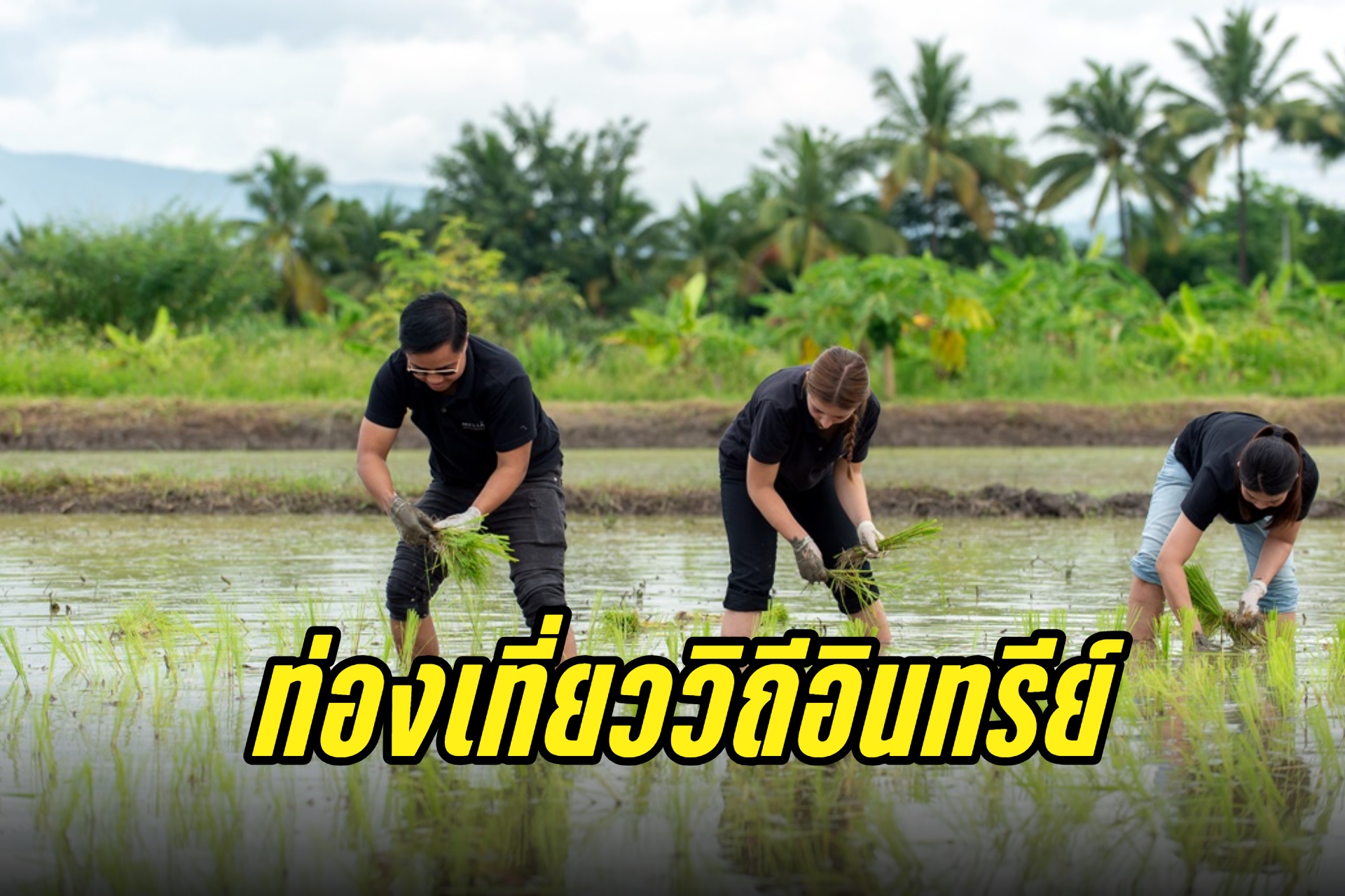TOCA จับมือ ททท. ส่งเสริม “ท่องเที่ยววิถีอินทรีย์” สานพลังเกษตรกรและผู้ประกอบการ สร้างประสบการณ์การท่องเที่ยวที่ช่วยเปลี่ยนโลก