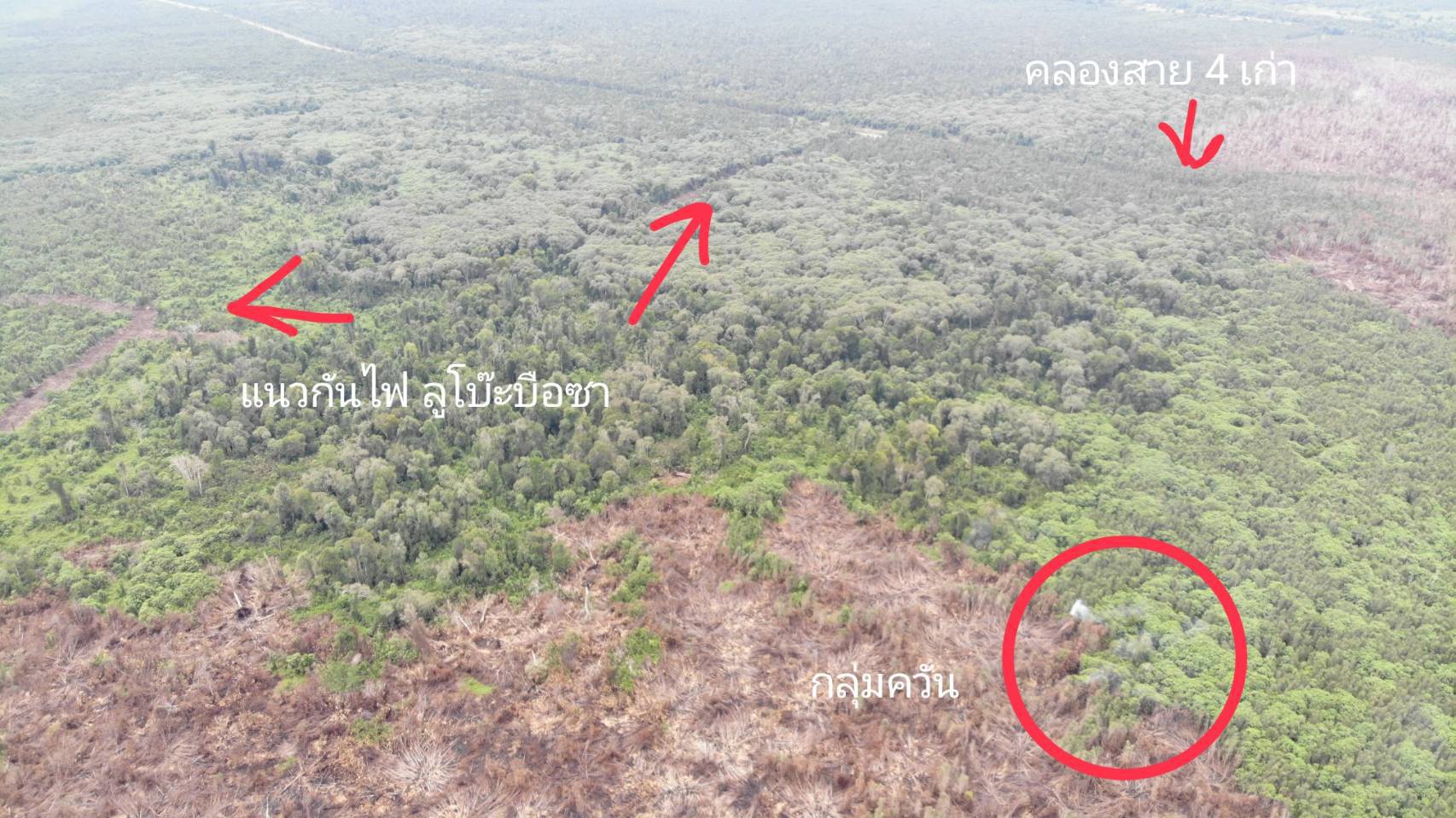 ไฟป่าพรุบาเจาะคลี่คลายหลังมีฝนตกลงมาในพื้นที่ แต่ยังมีการเฝ้าในแนวดิ่งใต้ดินต้องดับให้สนิท