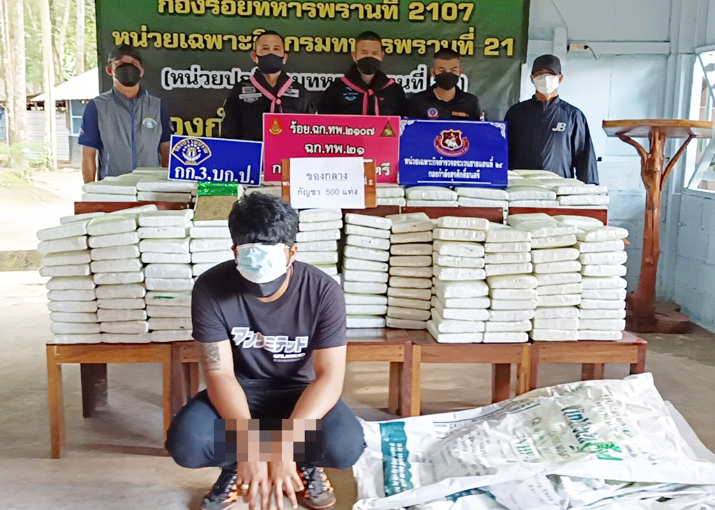 ทหารพรานร่วมกับกองปราบจับกัญชา500กิโล-ยึดรถ2คันผู้ต้องหา2คน