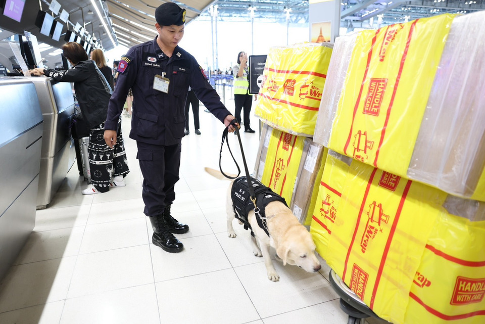 ดมกลิ่นพิรุธ! K-9 เสริมทัพสุวรรณภูมิ ปิดช่องลำเลียงยาเสพติด 
