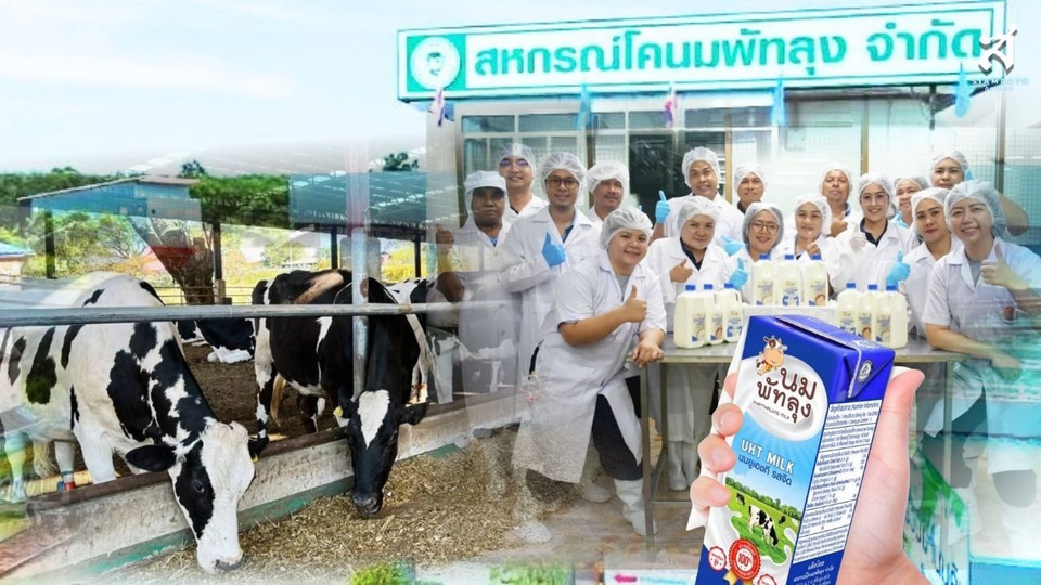 “นมพัทลุง” นมโคแท้ 100% จากวัวอารมณ์ดี แบรนด์ท้องถิ่นใต้กว่า 30 ปี สู่ตลาดยุคใหม่