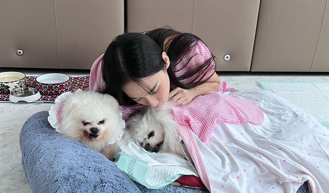 โซเชียลแห่ให้กำลังใจ 'อั้ม พัชราภา' สูญเสีย 'ไตเติ้ล' น้องหมาสุดรัก