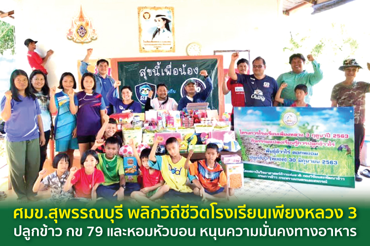 ศมข.สุพรรณบุรี พลิกวิถีชีวิตโรงเรียนเพียงหลวง 3 ปลูกข้าว กข79 และหอมหัวบอน หนุนความมั่นคงทางอาหาร 