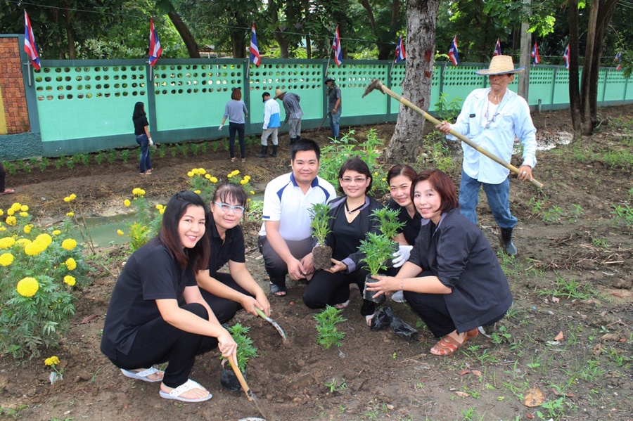 บุคลากรสำนักงานสหกรณ์จังหวัดลำพูน ร่วมกิจกรรมปลูกดอกดาวเรือง น้อมรำลึกในหลวง ร.9
