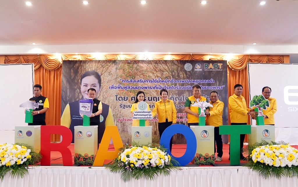 สู้โรคใบร่วง! กยท. เสิร์ฟความรู้เกษตรกรฯ ดันน้ำหมักชีวภาพ "ปลาหมอคางดำ" ฟื้นฟูสวนยาง