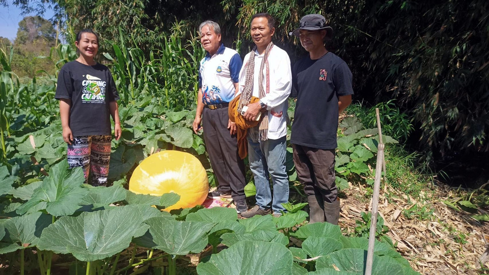 พยาบาลหนุ่มสกลนคร ผันตัวทำเกษตรอินทรีย์ เพาะสตรอว์เบอร์รี่-ฟักทองยักษ์ ขายออนไลน์