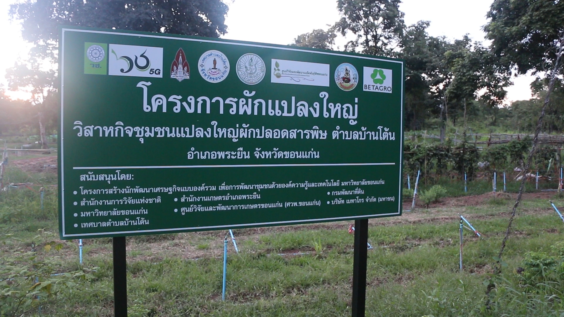 ขอนแก่น จับมือ มข.และเบทาโกร ส่งเสริมชุมชน  ปลูกผักปลอดสารพิษทั้งอำเภอ ป้อนตลาดคนรักสุขภาพ