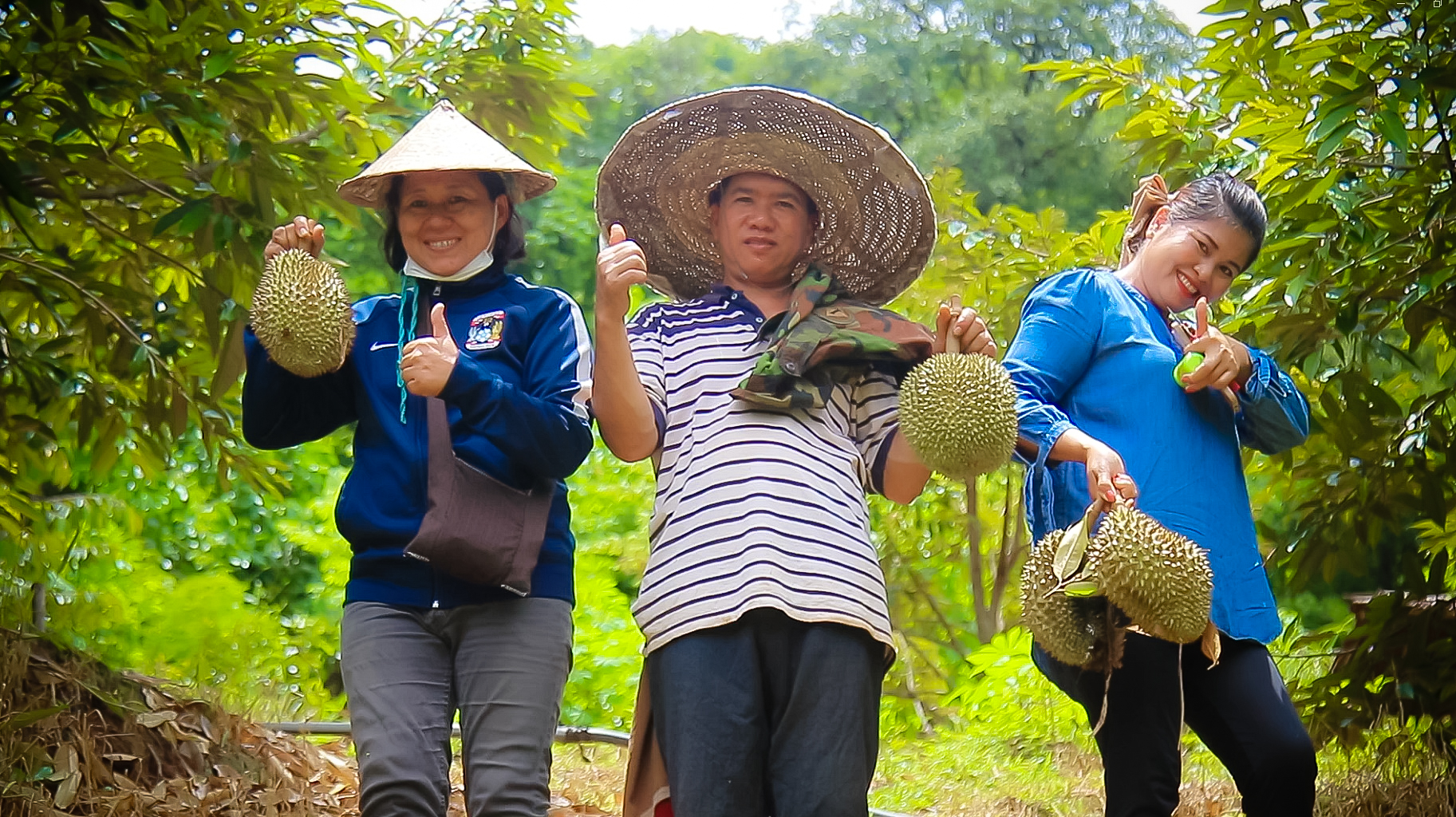 เกษตรกรแม่ฮ่องสอน พลิกผืนดินดอยแนวชายแดน ปลูกทุเรียนหมอนทอง ปีที่ 6 เห็นผล ทุเรียนดกเต็มต้น ดีเดย์สิ้นเดือนกรกฏาคมนี้