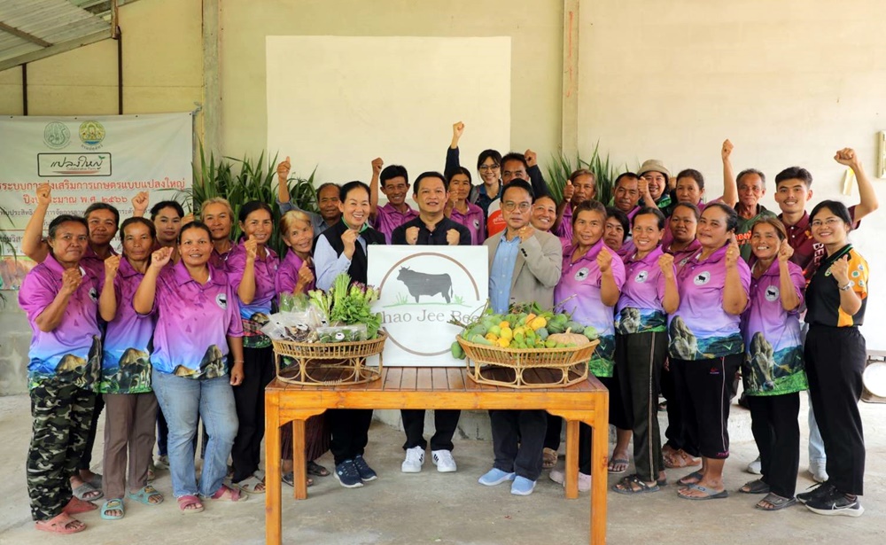 แปลงใหญ่โคเนื้อ หมู่ 5 ตำบลเชียงใหม่ ยกระดับแปลงใหญ่ด้วยเกษตรสมัยใหม่สู่การเชื่อมโยงตลาด