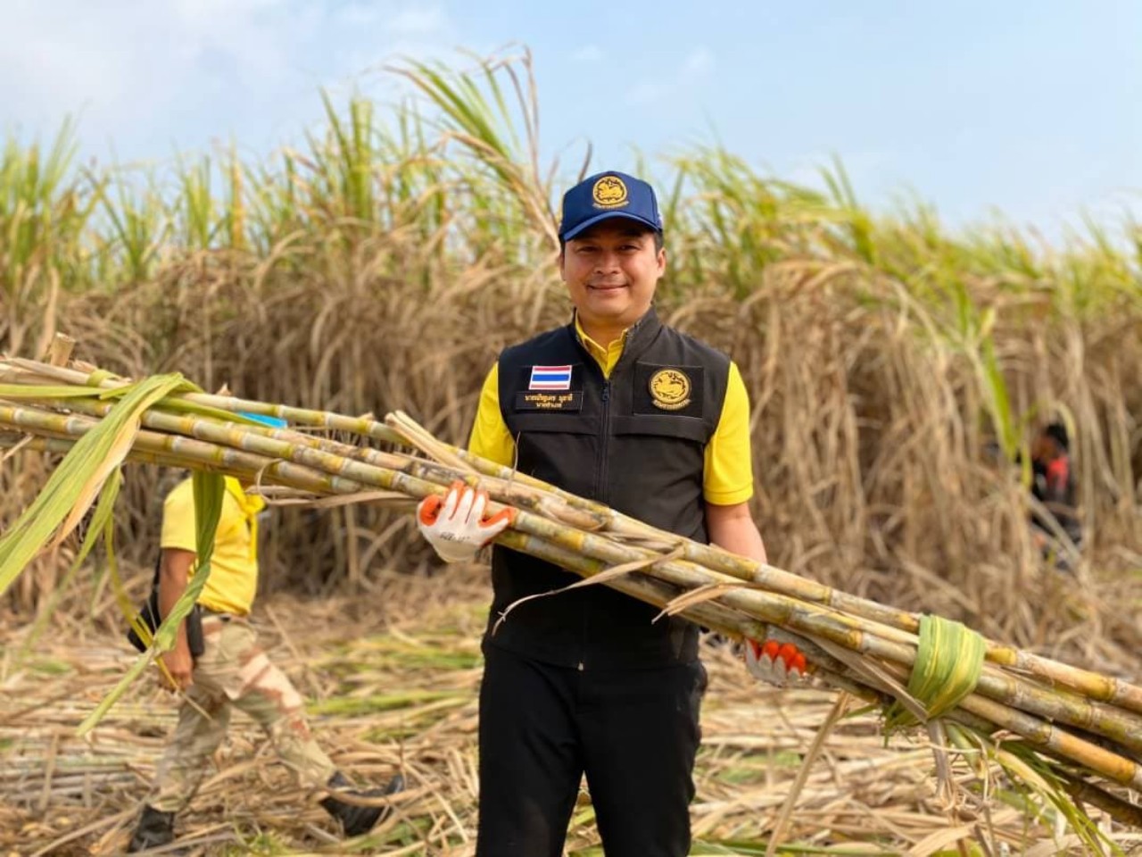 นายอำเภอพิบูลย์รักษ์ จ.อุดรธานี นำชาวพิบูลย์รักษ์ รณรงค์ตัดอ้อยสดงดเผาอ้อย ลด PM 2.5 เพิ่มรายได้แก่เกษตรกร