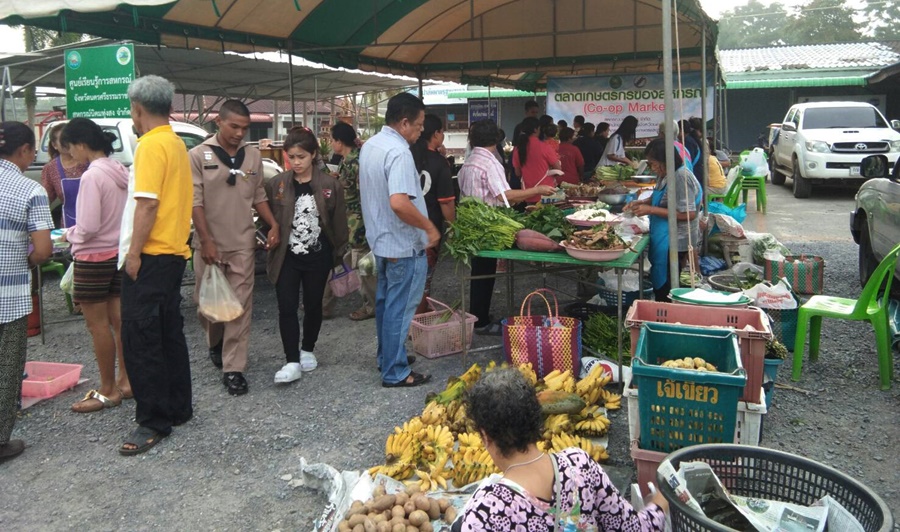 นครศรีธรรมราช เปิดตลาดเกษตรกรของสหกรณ์ (Co-op Market) หนุนนิคมสหกรณ์ขับเคลื่อนเกษตรอินทรีย์สู่ตลาดเกษตรกร
