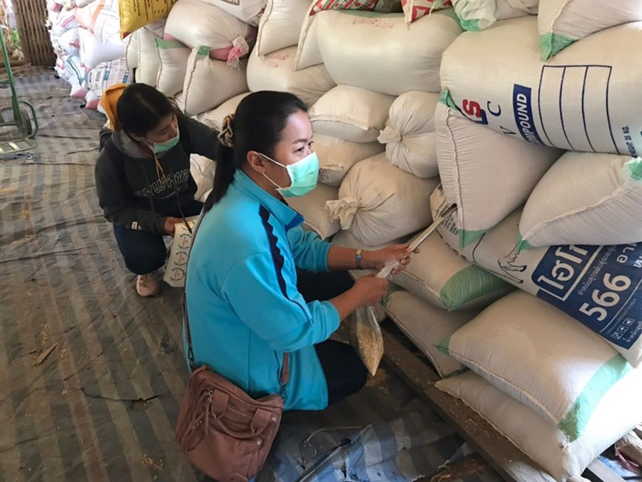 ศูนย์เมล็ดพันธุ์ข้าวสกลนคร เร่งผลิตเมล็ดพันธุ์ดี ส่งโครงการรักษาระดับปริมาณและคุณภาพข้าวฯ
