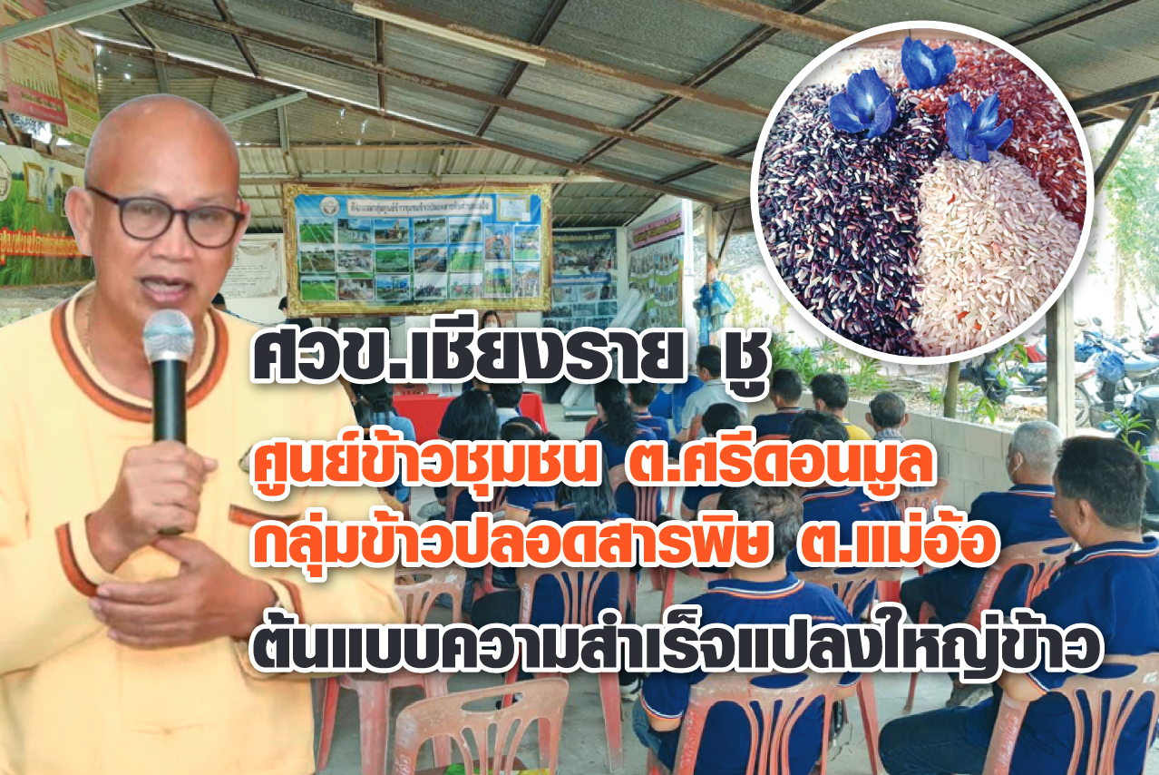 ศวข.เชียงราย ชู ศูนย์ข้าวชุมชนตำบลศรีดอนมูล-กลุ่มข้าวปลอดสารพิษตำบลแม่อ้อ ต้นแบบความสำเร็จแปลงใหญ่ข้าว