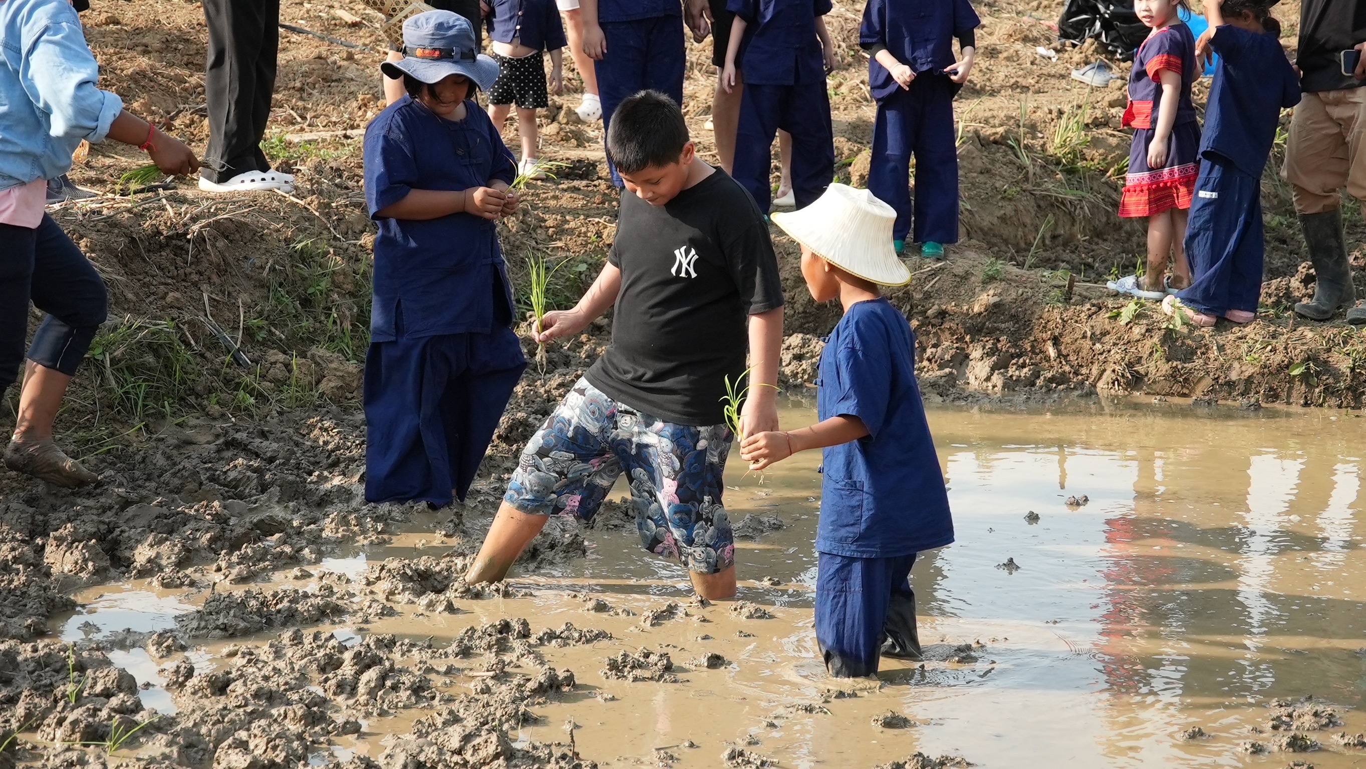 The Organic Farm เปิดศูนย์การเรียนรู้ธรรมชาติสำหรับเด็กและครอบครัวต้อนรับปิดเทอม 