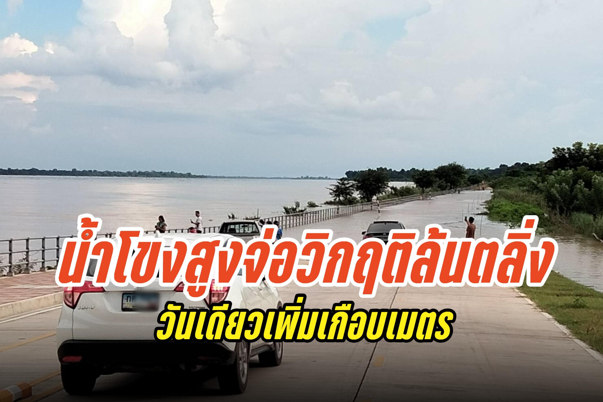 น้ำโขงสูงจ่อวิกฤติล้นตลิ่ง วันเดียวเพิ่มเกือบเมตร เศษไม้ลอยขวางทางเรือ
