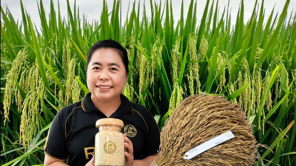 เปิดตัว “กข113-กข119” ข้าวพรีเมียมพันธุ์ใหม่ เพิ่มผลผลิต ลดต้นทุน หนุนข้าวคาร์บอนต่ำ